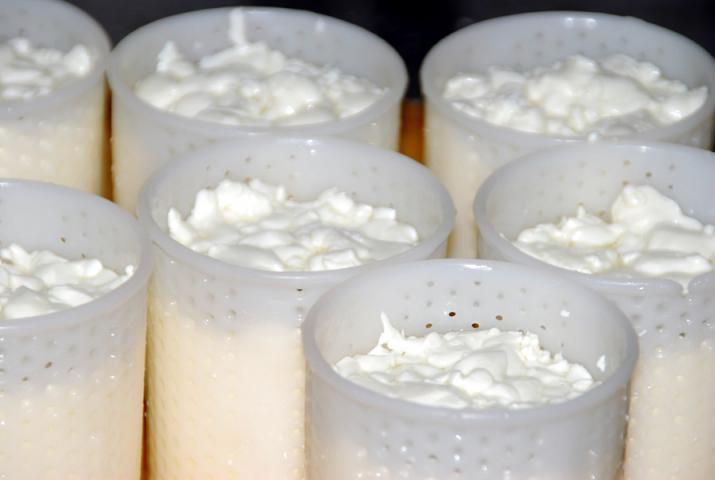 Käse tropft in den Formen ab