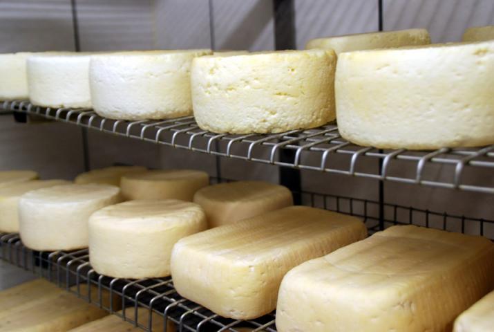 Fertig gereifter Hofkäse, angeschnitten